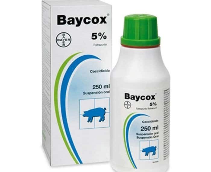 baycox %5